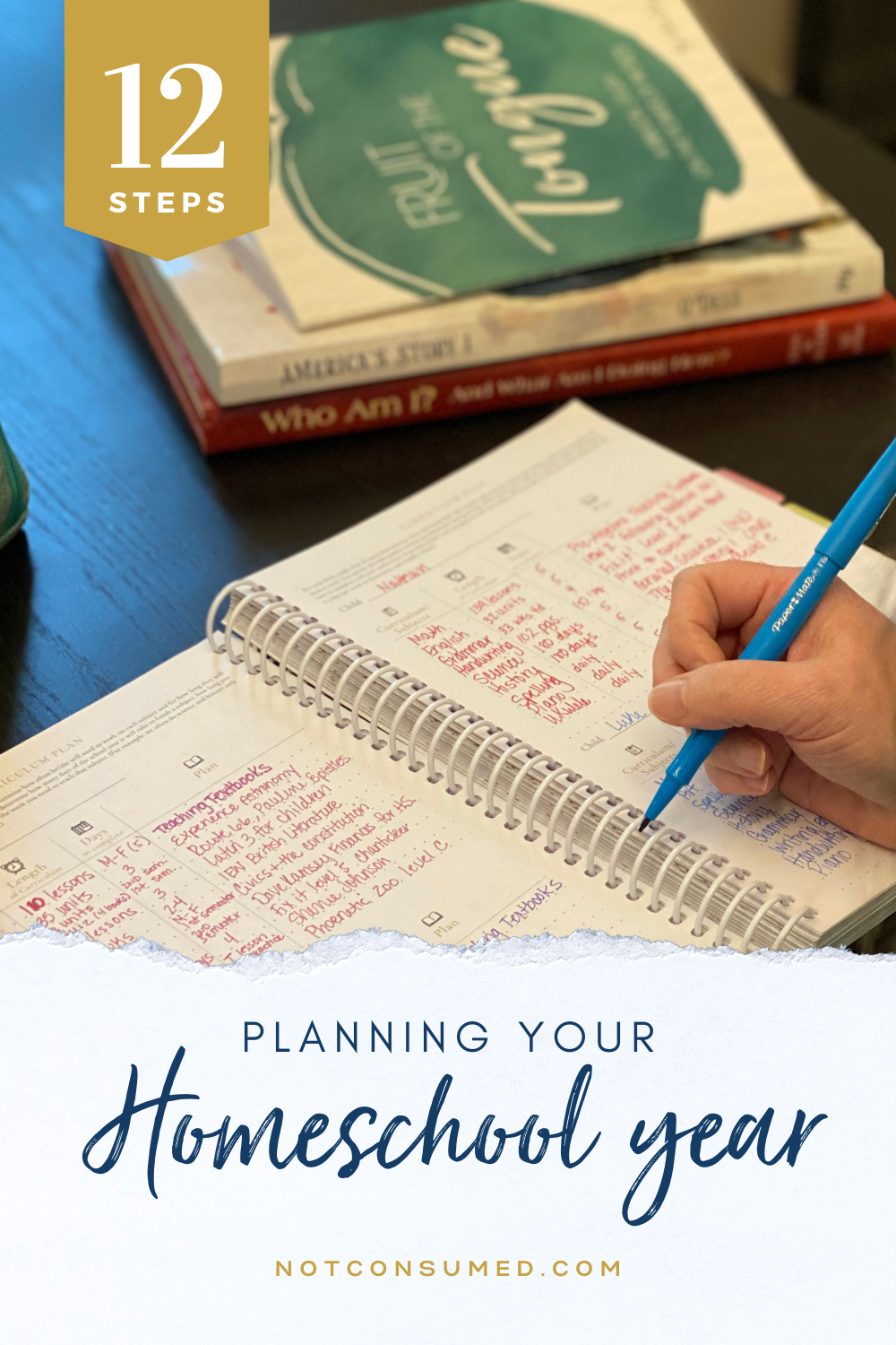 12 Important Steps For Planning Your Homeschool Year 12 important steps for planning your homeschool year
