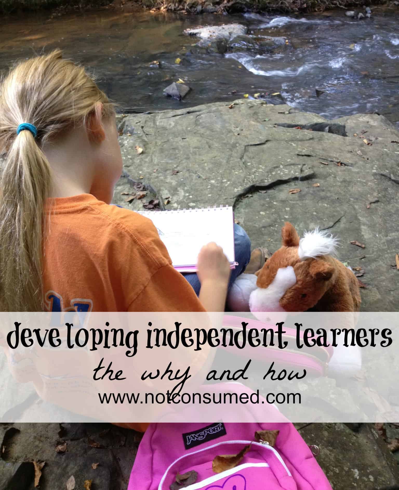 Developing independent learners