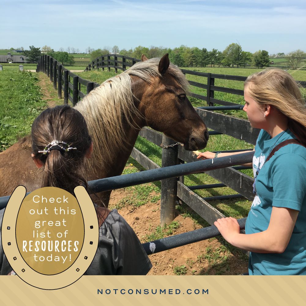 Ultimate Homeschool List for Horse Lovers