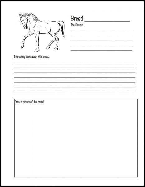homeschool list for horse lovers