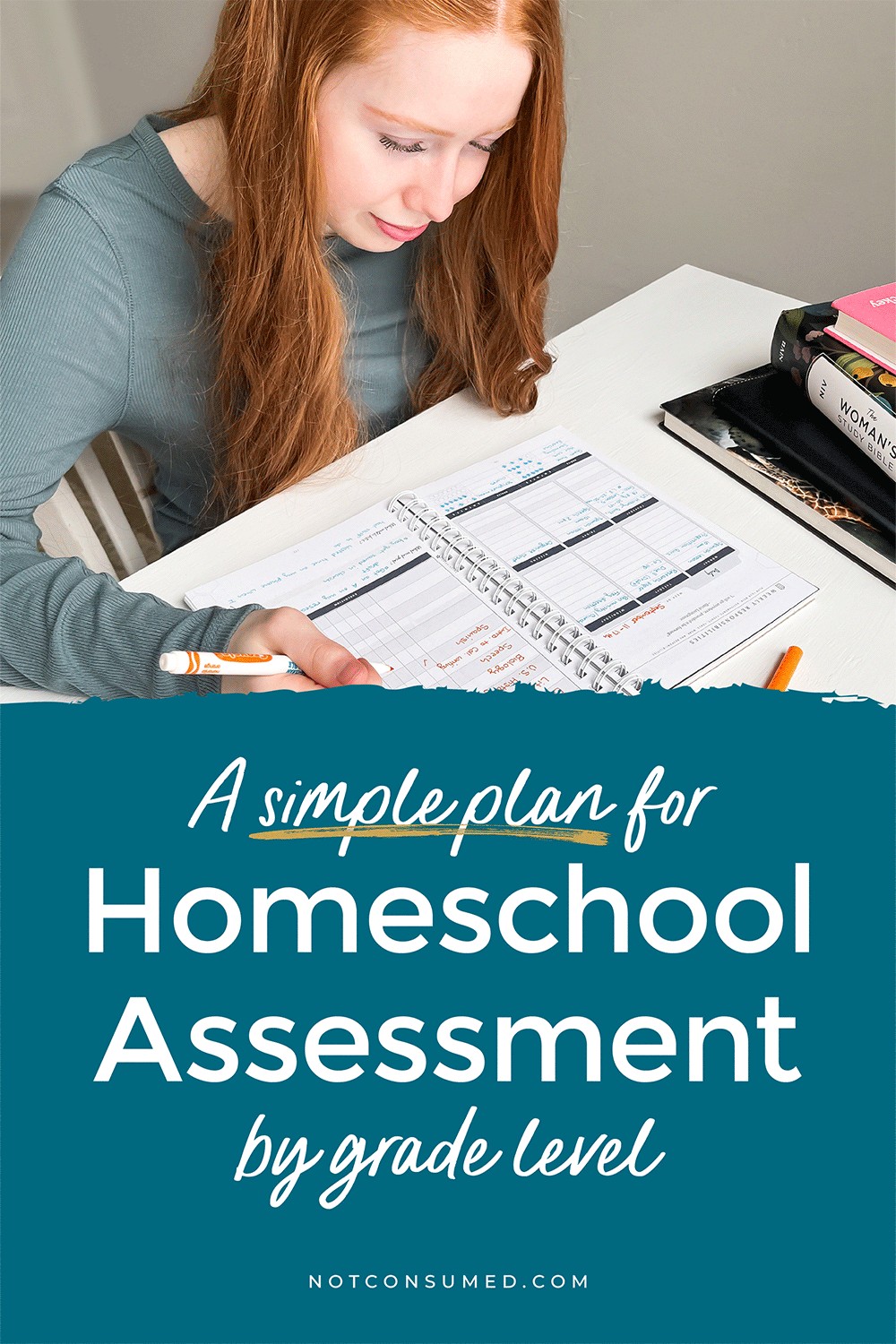 Homeschool assessment and scantron tests are NOT one in the same. Let me teach you simple and effective ways to document growth without the tears!