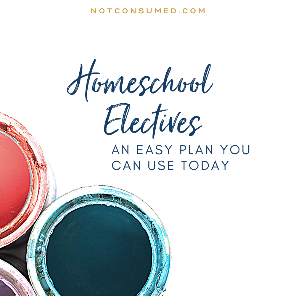 Homeschool Electives: An Easy Plan You Can Use Today