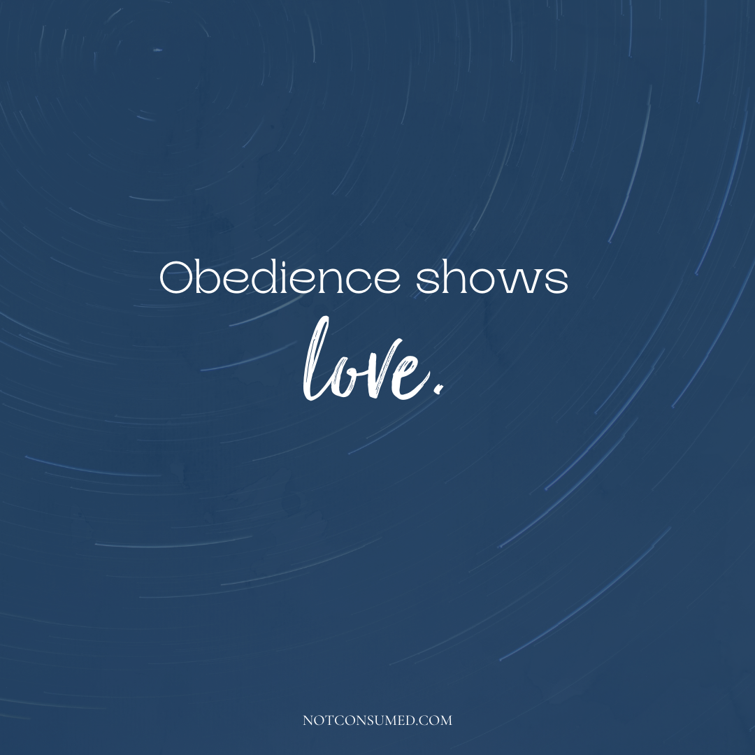 Obedience shows love