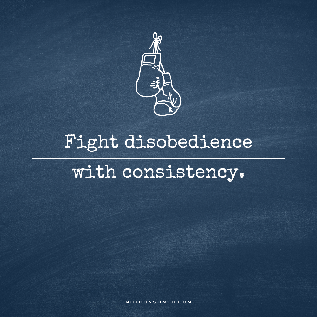 fight disobedience