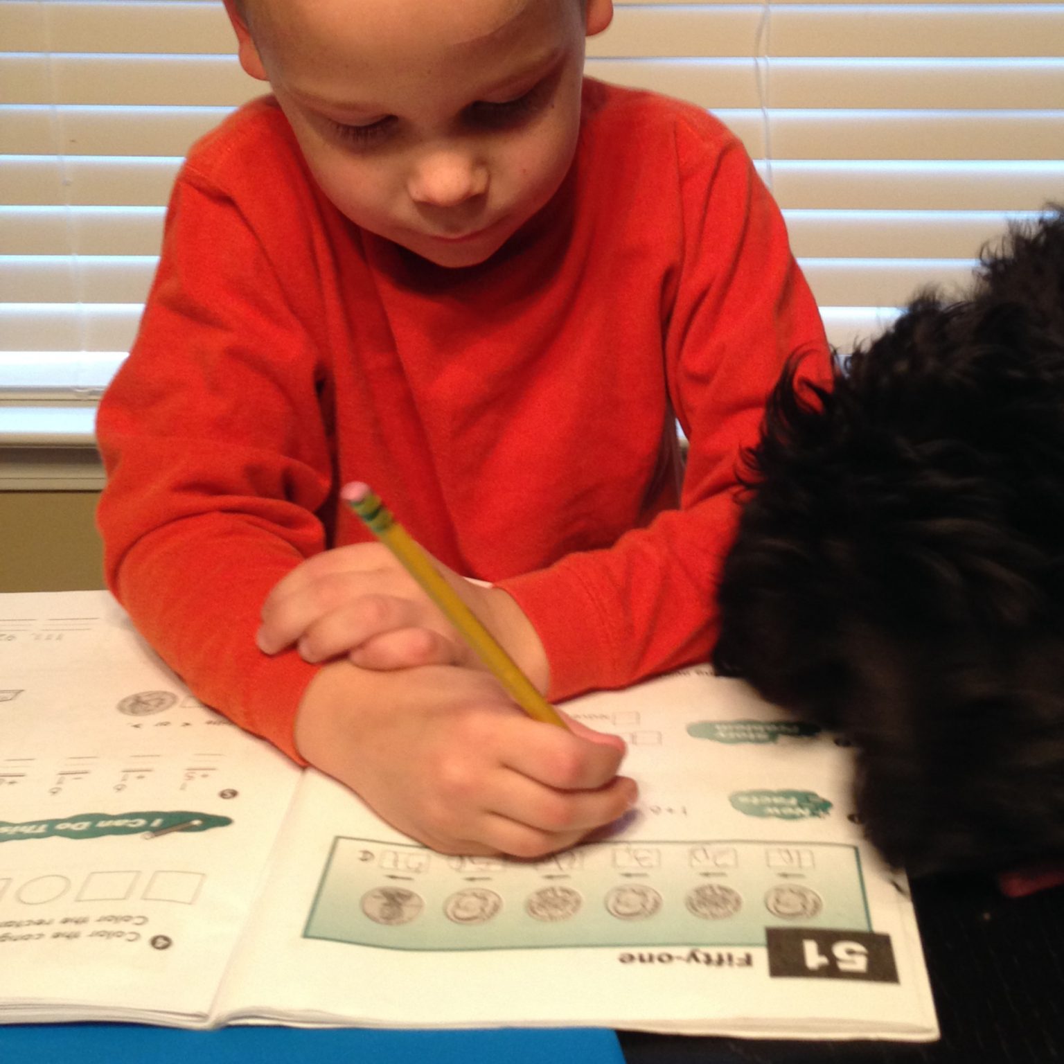 Creative Writing and Grammar for Kids