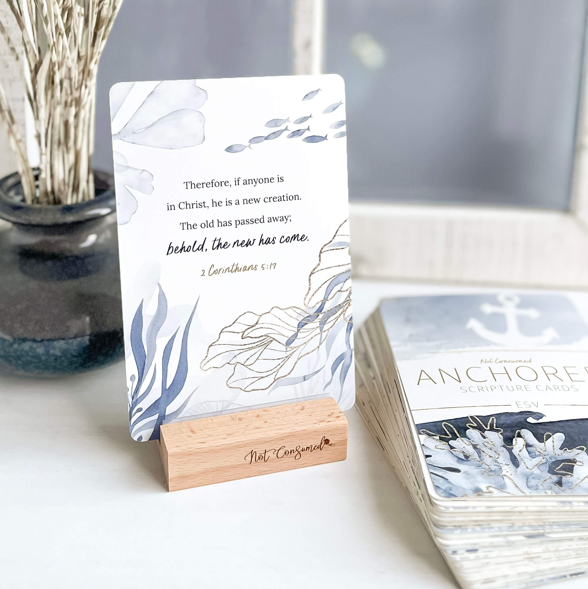 Anchored Scripture Cards