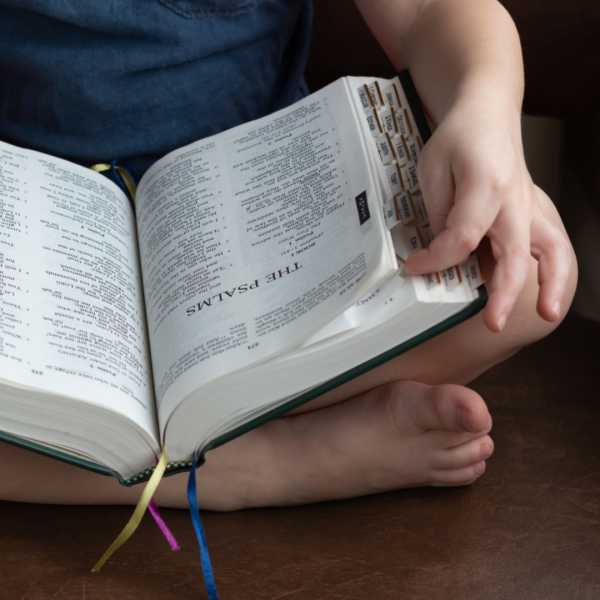 3 questions to help your kids think about scripture