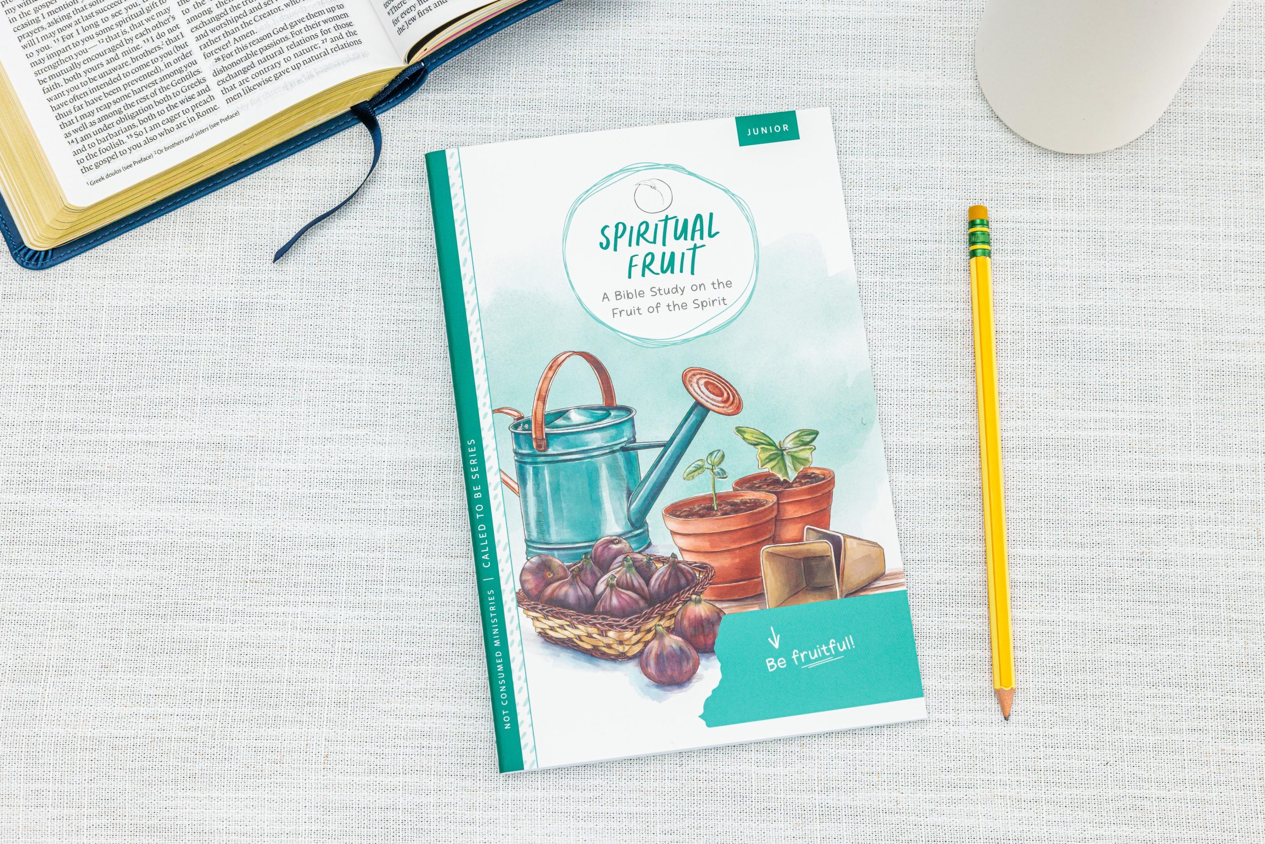 Spiritual Fruit bible study