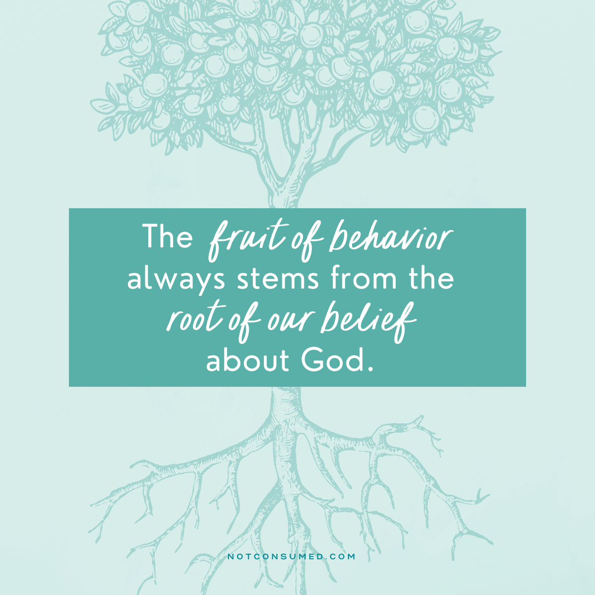 5 Truths Blog Post Quote - The root of what we believe about God