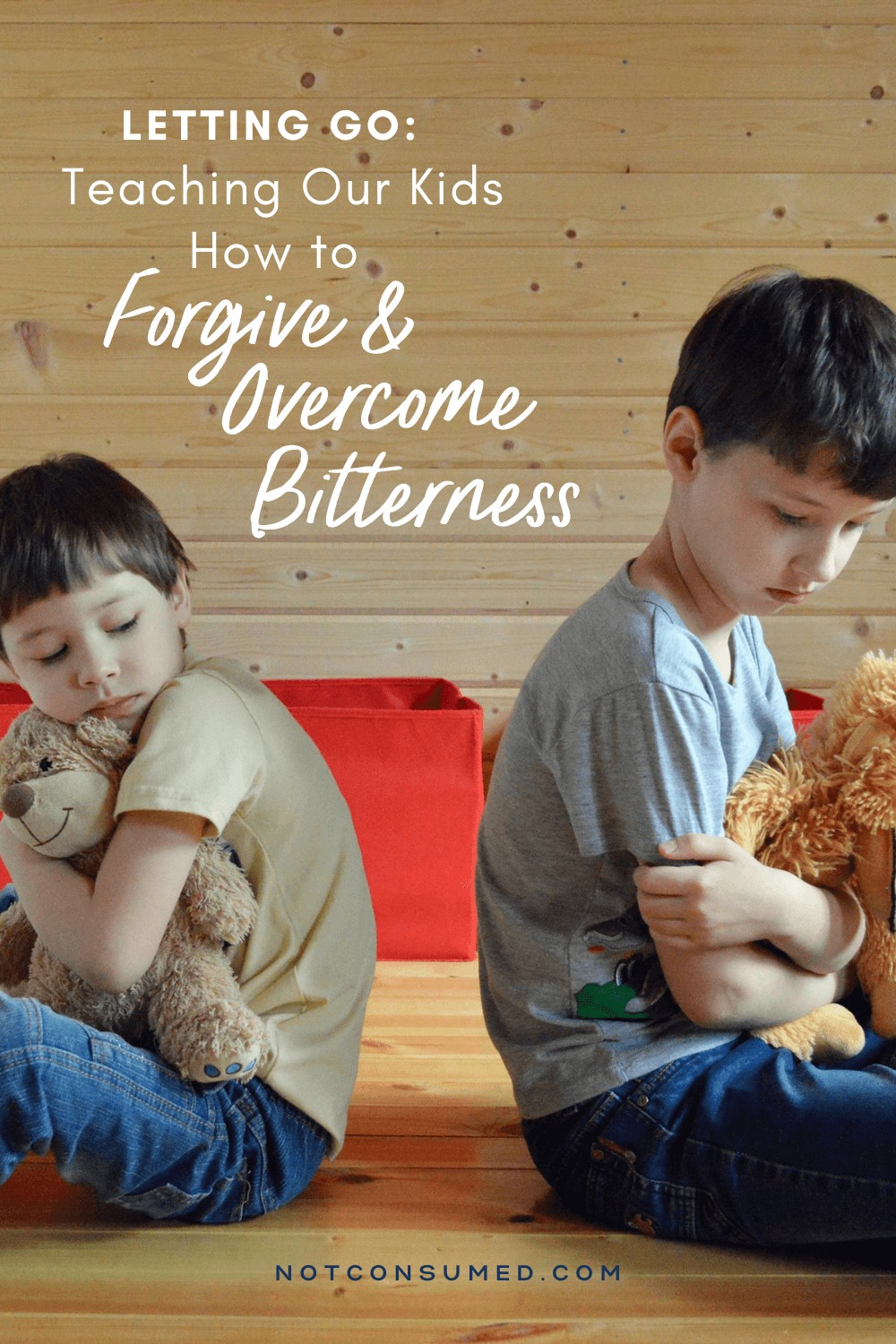 Letting Go: Teaching Our kids How to Forgive and Overcome Bitterness - PIN