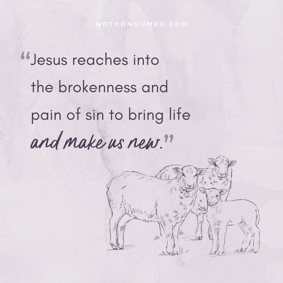 Jesus reaches into the brokenness...