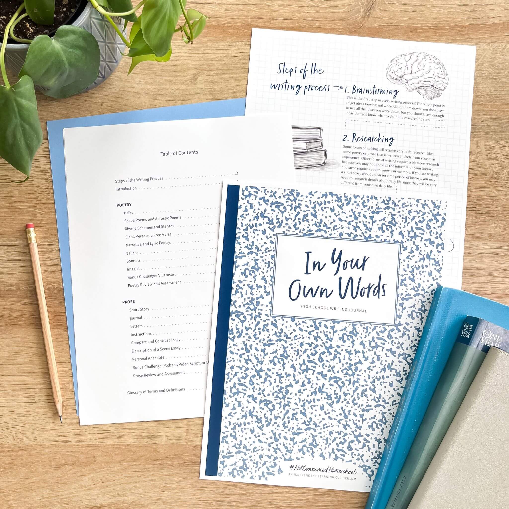 In Your Own Words Creative Writing curriculum for high schoolers