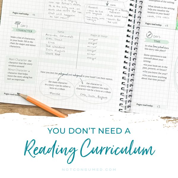 You don't need a reading curriculum!