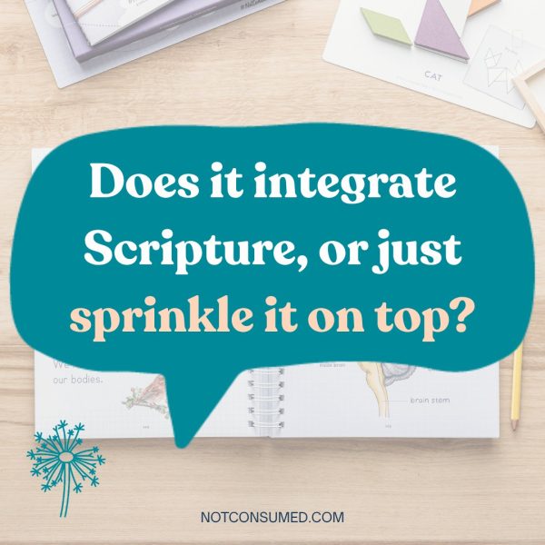 Quote graphic: Does it integrate Scripture, or just sprinkle it on top?